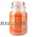Yankee Candle Large Jar Candle, Sugar & Spice   563612090